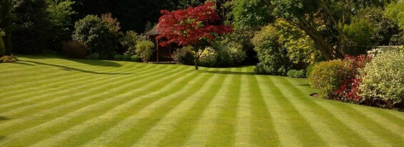 Lawn Care & Landscaping For Your Rentals In Columbus